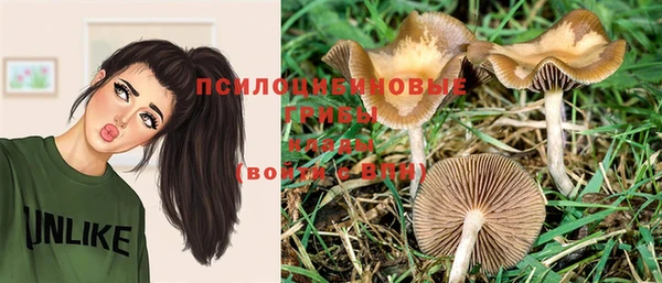 МДМА Верхний Тагил