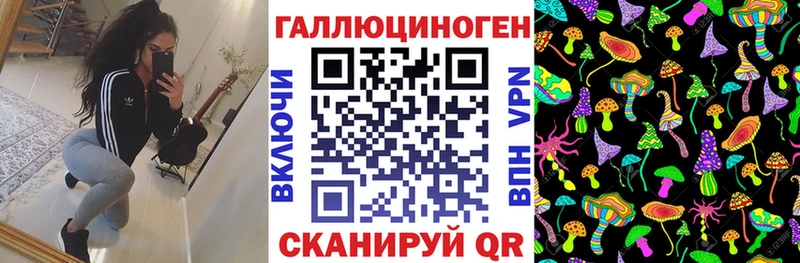 Галлюциногенные грибы GOLDEN TEACHER  закладки  Славянск-на-Кубани 